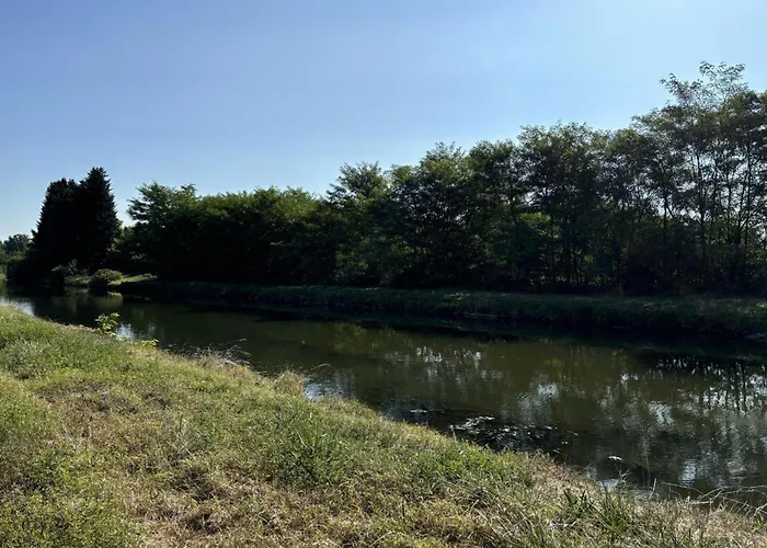 Maison Cosy Avec Jardin Entre Canal Et Loire - Fr-1-489-550